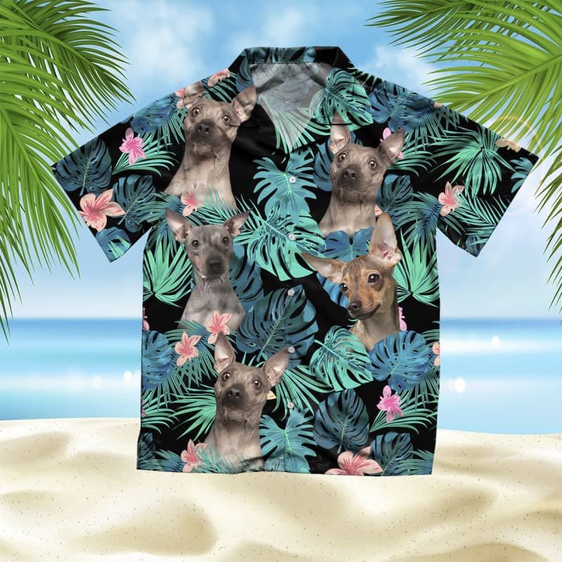 Felacia American Hairless Terrier Summer Leaves Hawaii Shirt Ha101765