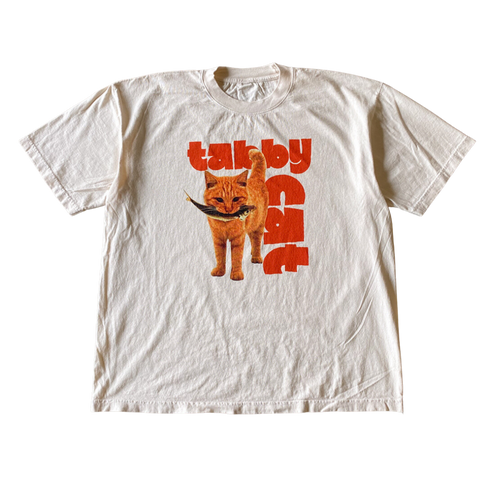 Tabby Cat With Fish T shirt Outfit