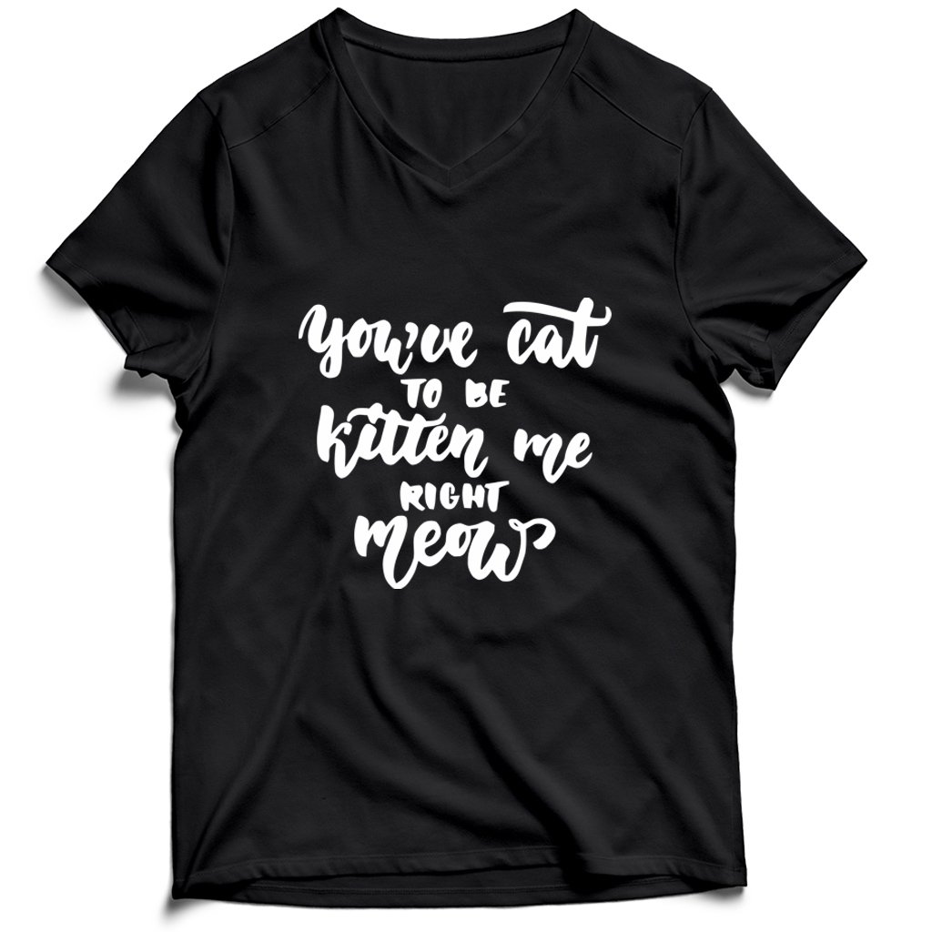 Are You Kitten Me Right Meow Cool Cute Men’s V-Neck Tee T-Shirt