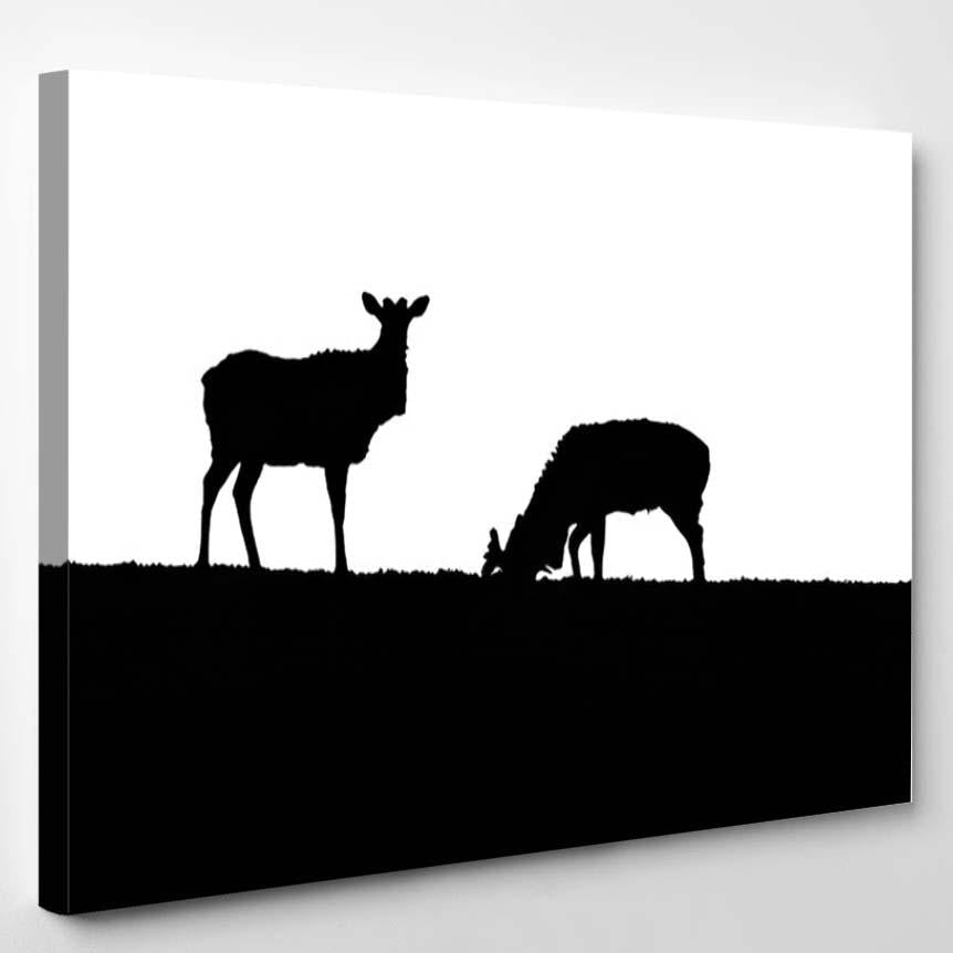 Young Deer Silhouettes Wild – Deer Animals Canvas Print