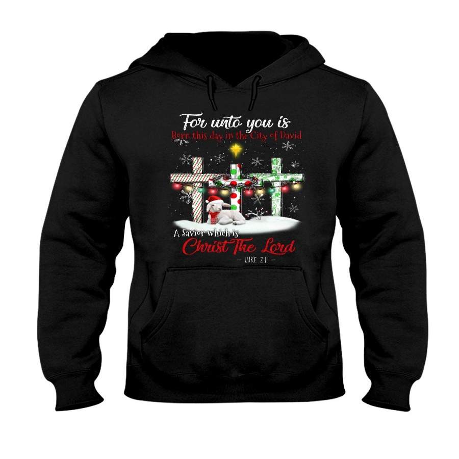 Savior Christ The Lord Gift For Christmas Gift Hoodie