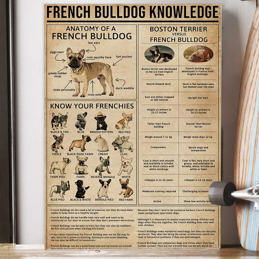 Knowledge French Bulldog  Unique Custom Design  Poster  Gift  For Dog Lovers