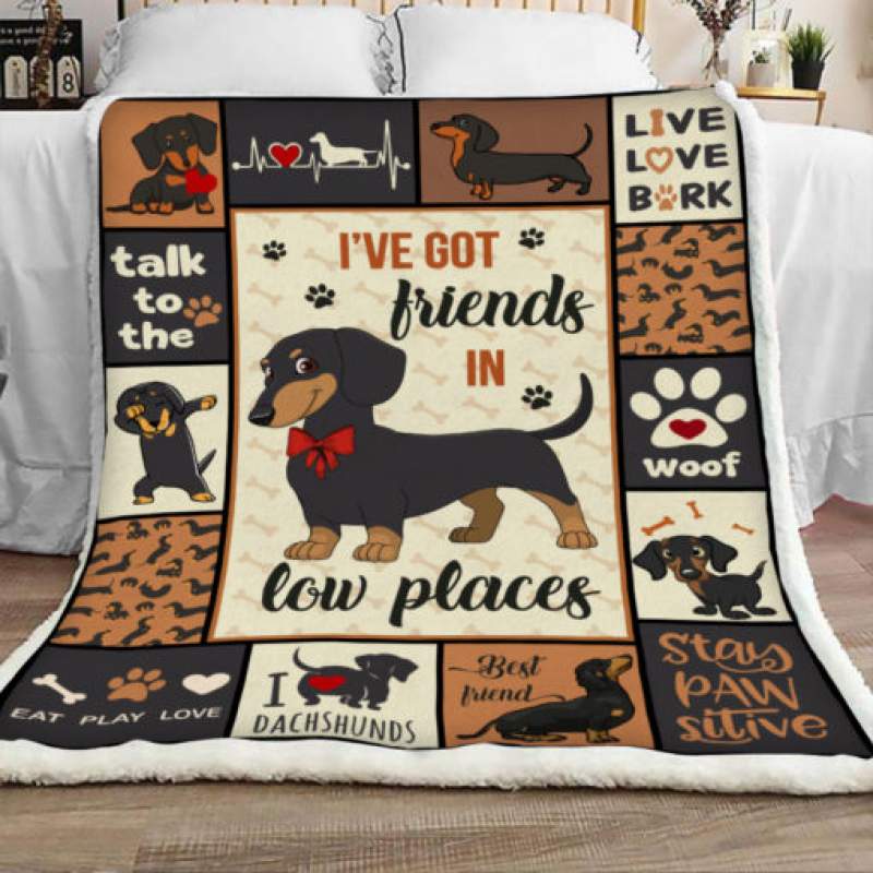 Dachshund Dog Sherpa Blanket JR3102 78O58