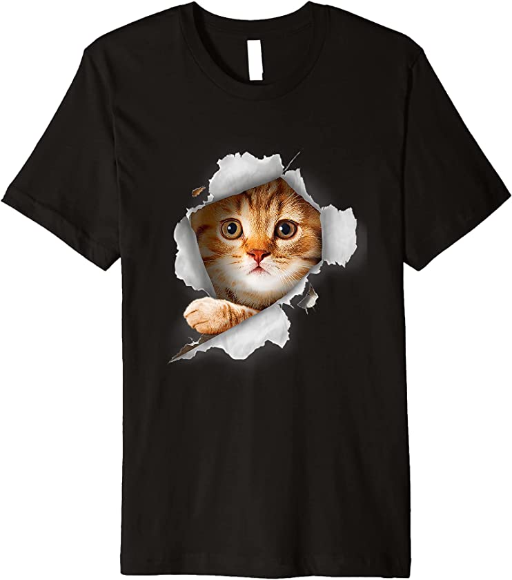 Cat Orange Cat Cat Torn Cloth Kitten Premium T-Shirt