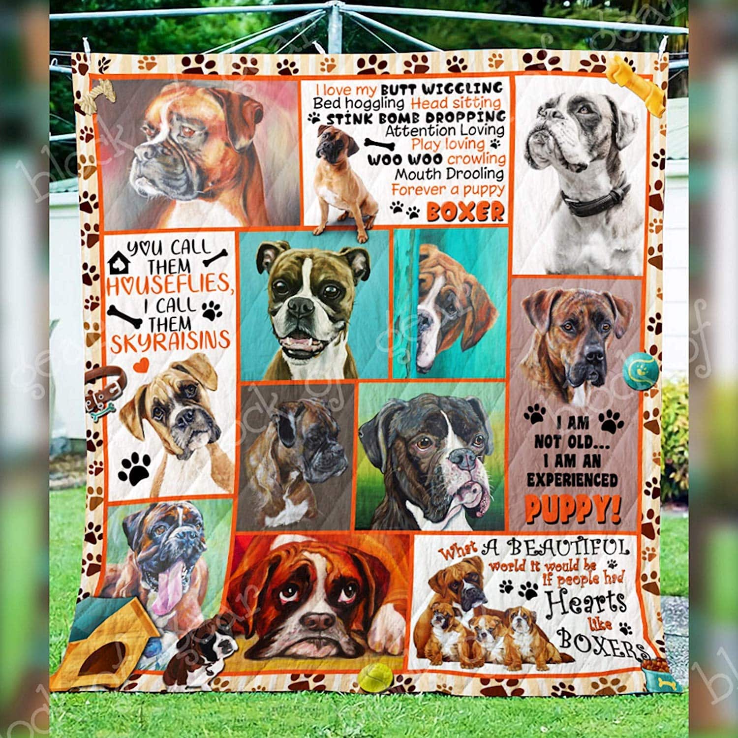 Boxer – I Am Not Old Forever a puppy Cute Boxer Dogs ‘ Quilt Blanket