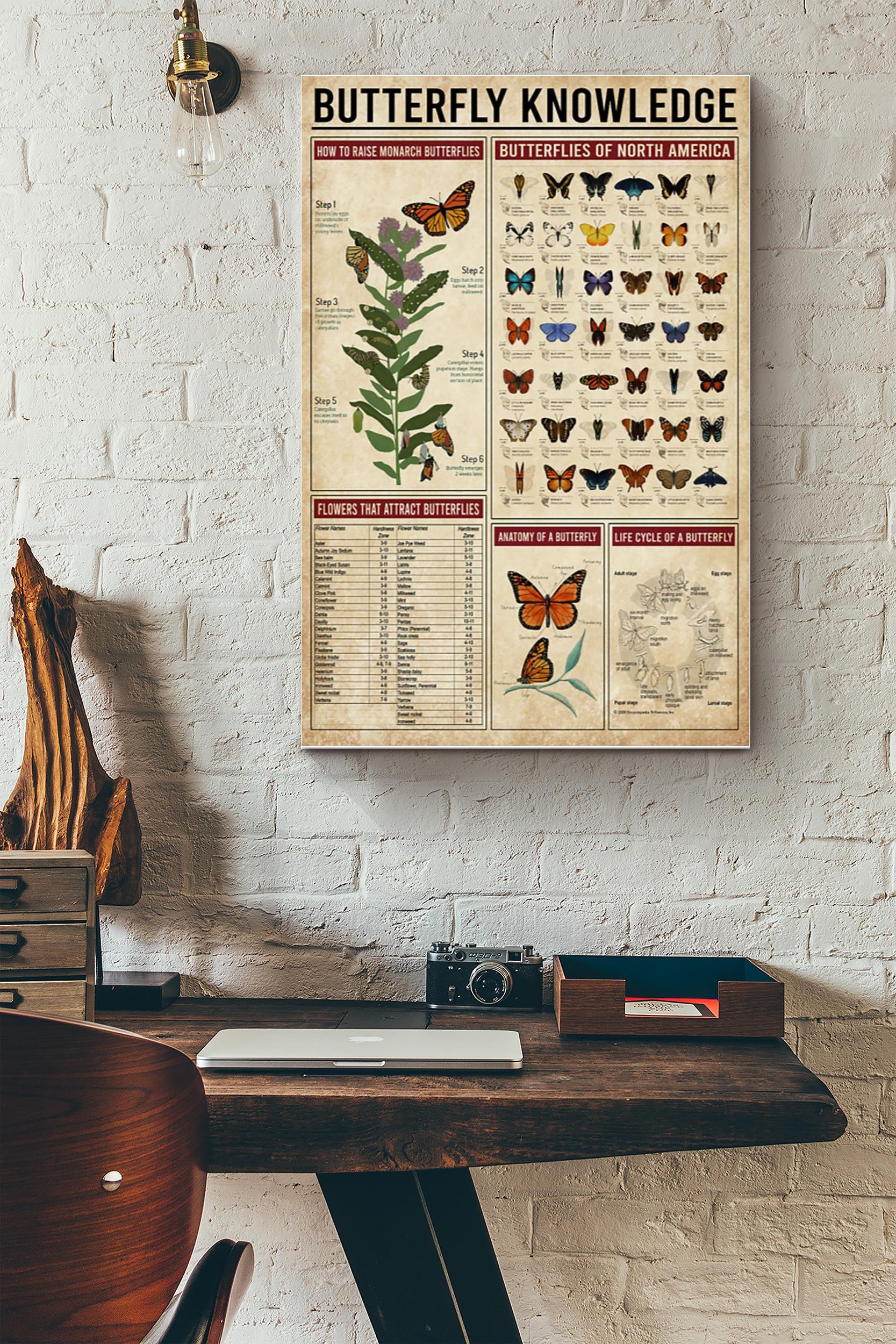 Butterfly Knowledge (Unframed) Poster