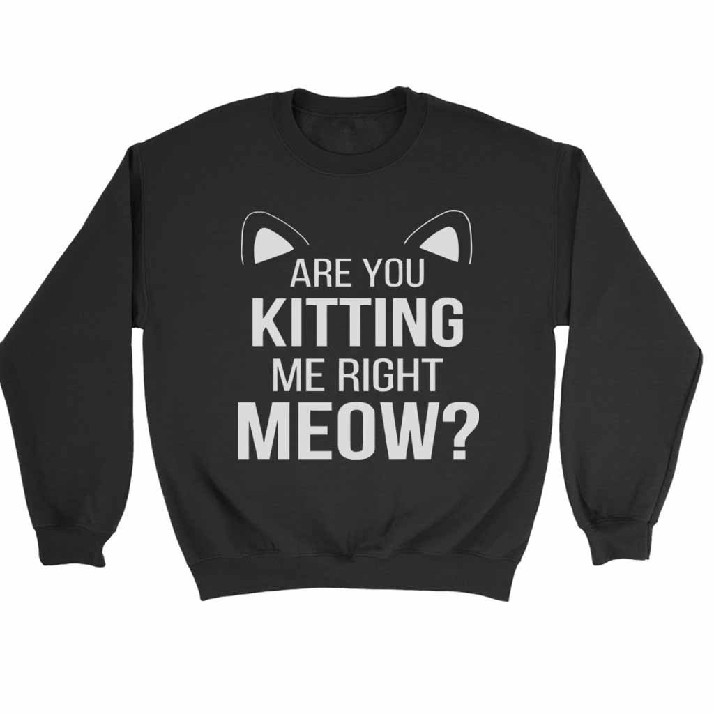 Are You Kitten Me Right Meow Duck Sweatshirt Sweater