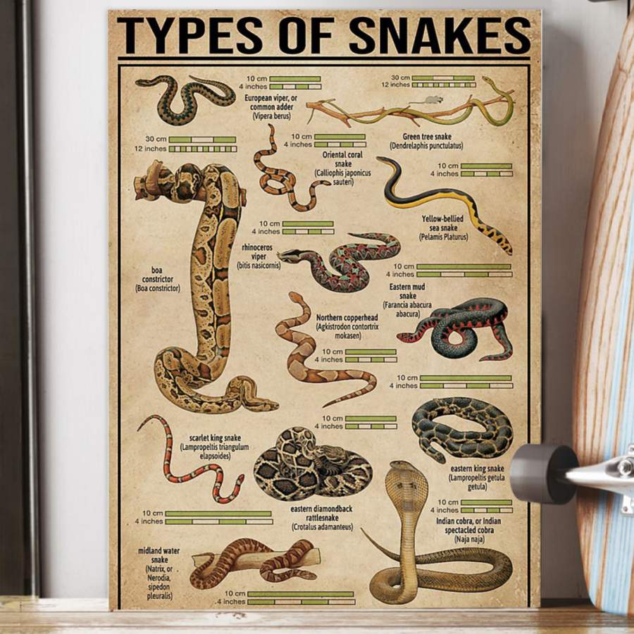 Types Of Snakes Poster Custom Design Gift For Biologist