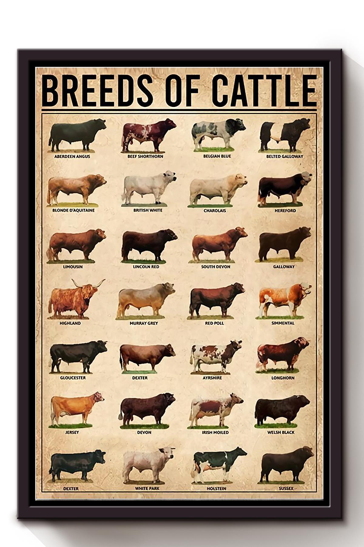 Breeds Of Cattle Animal Knowledge For Homeschool Nusery Kids Bedroom Decor Framed Canvas