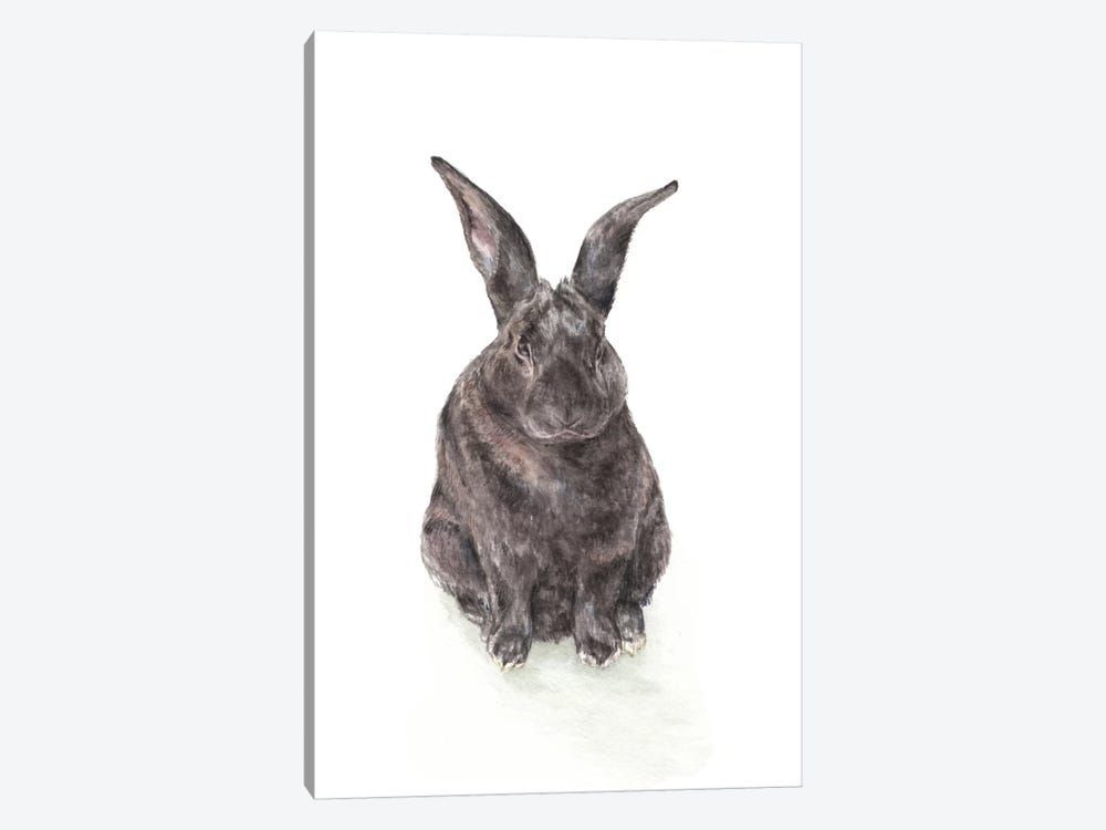 Black Rabbit Canvas Poster 8″x12″ 12×18″ 18″x26″ 24″x36″ 30″x45″