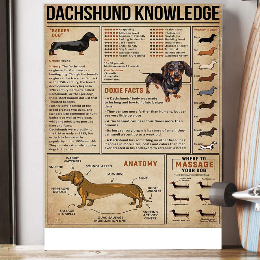 Knowledge Dachshund Special Custom Design Poster  Gift  For Dog Lovers