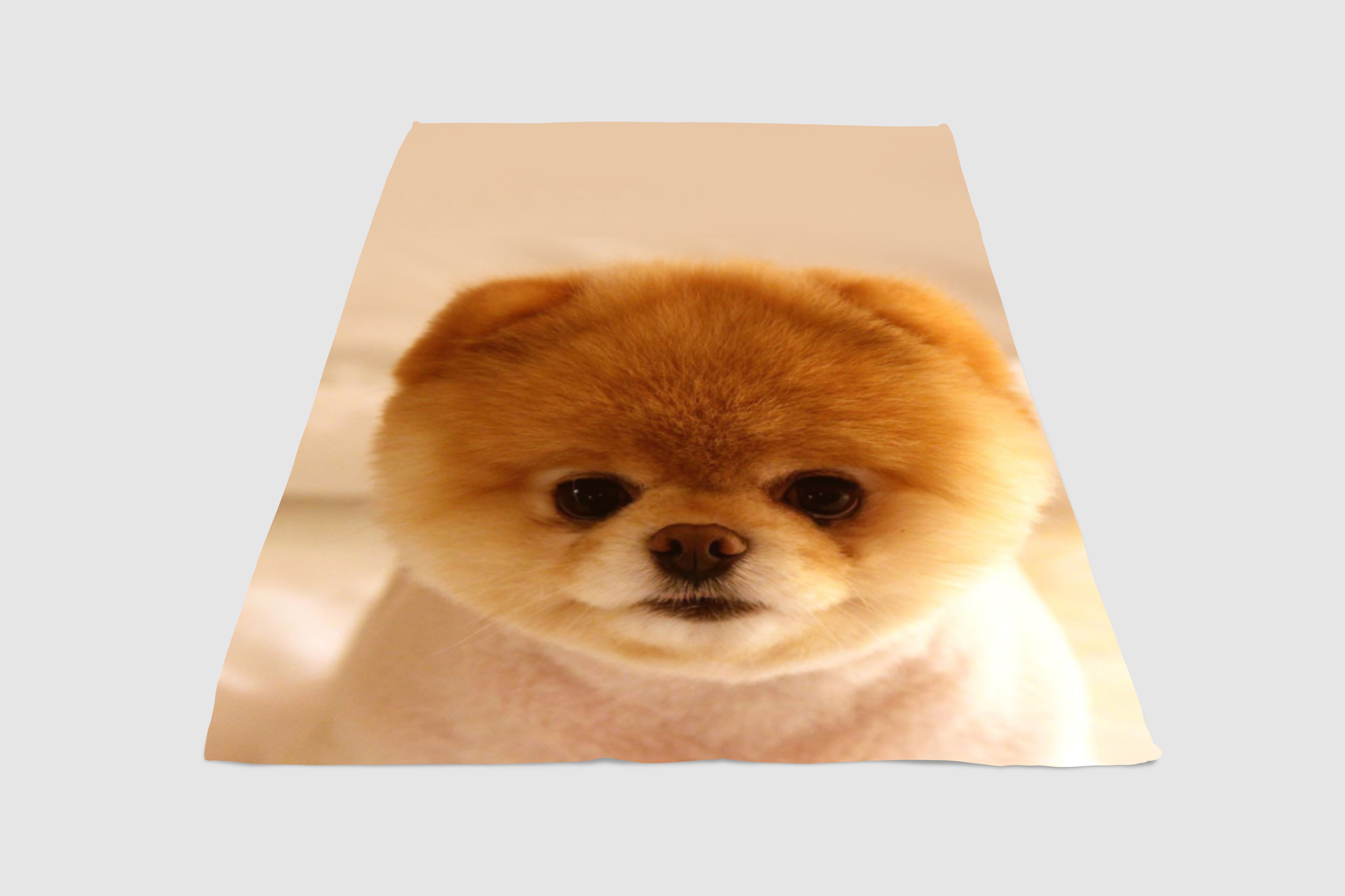 puppy dog cute blanket