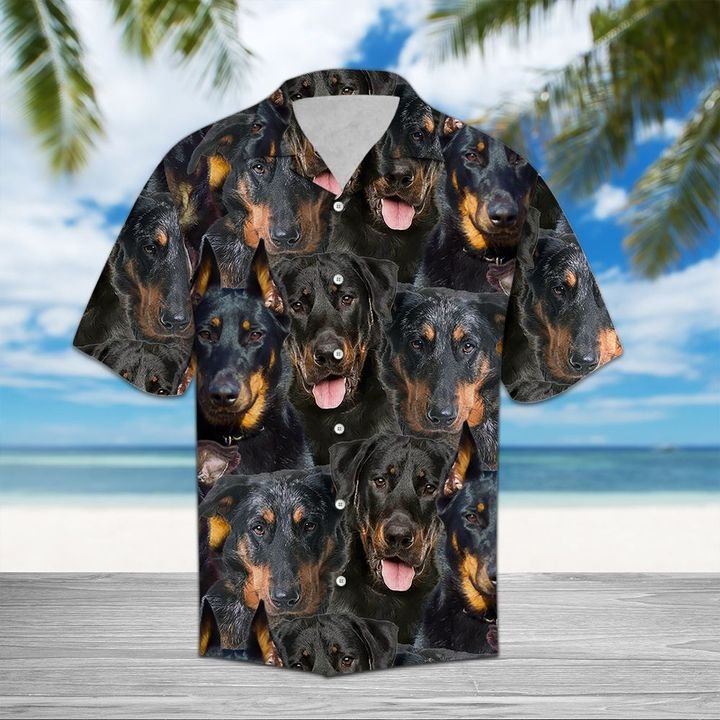 Beauceron Hawaiian Shirt Summer Button Up For Men, Women, Couple