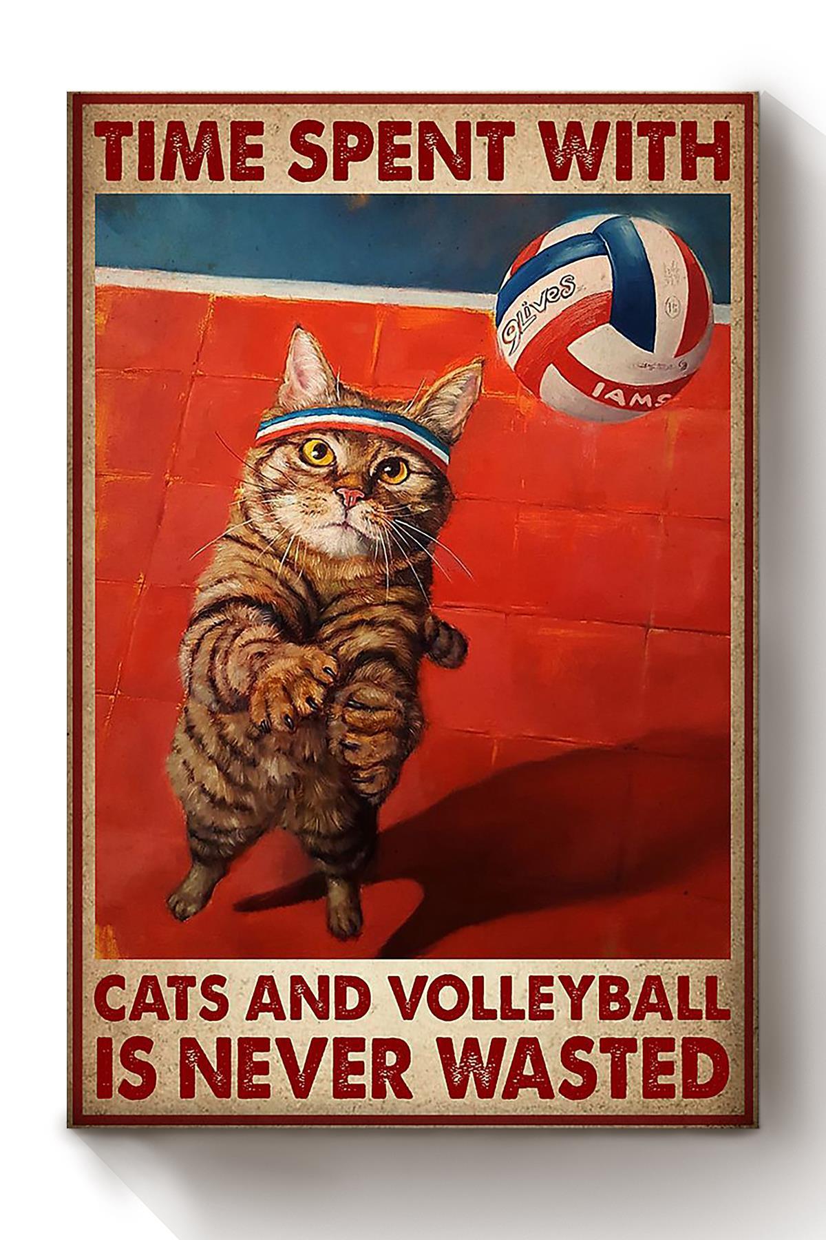 Spend Time With Cat And Volleyball Animal Wall Art Gift For Cat Lover International Cat Day Kitten Foster Canvas