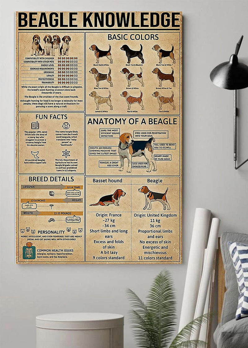 Beagle Knowledge Poster