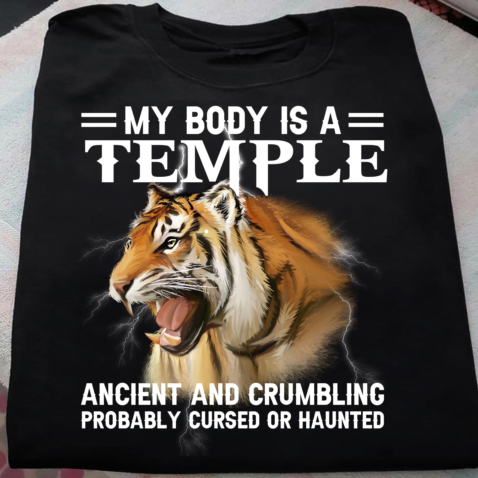 My Body Is A Temple Ancient And Crumbling Probably Cursed Or Haunted Gift Standard/Premium T-Shirt