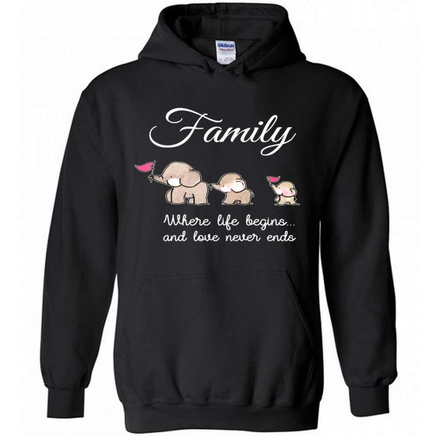 Family Where Life Begins And Love Never Ends, Elephant Lover Funny B – Gildan Heavy Blend Hoodie