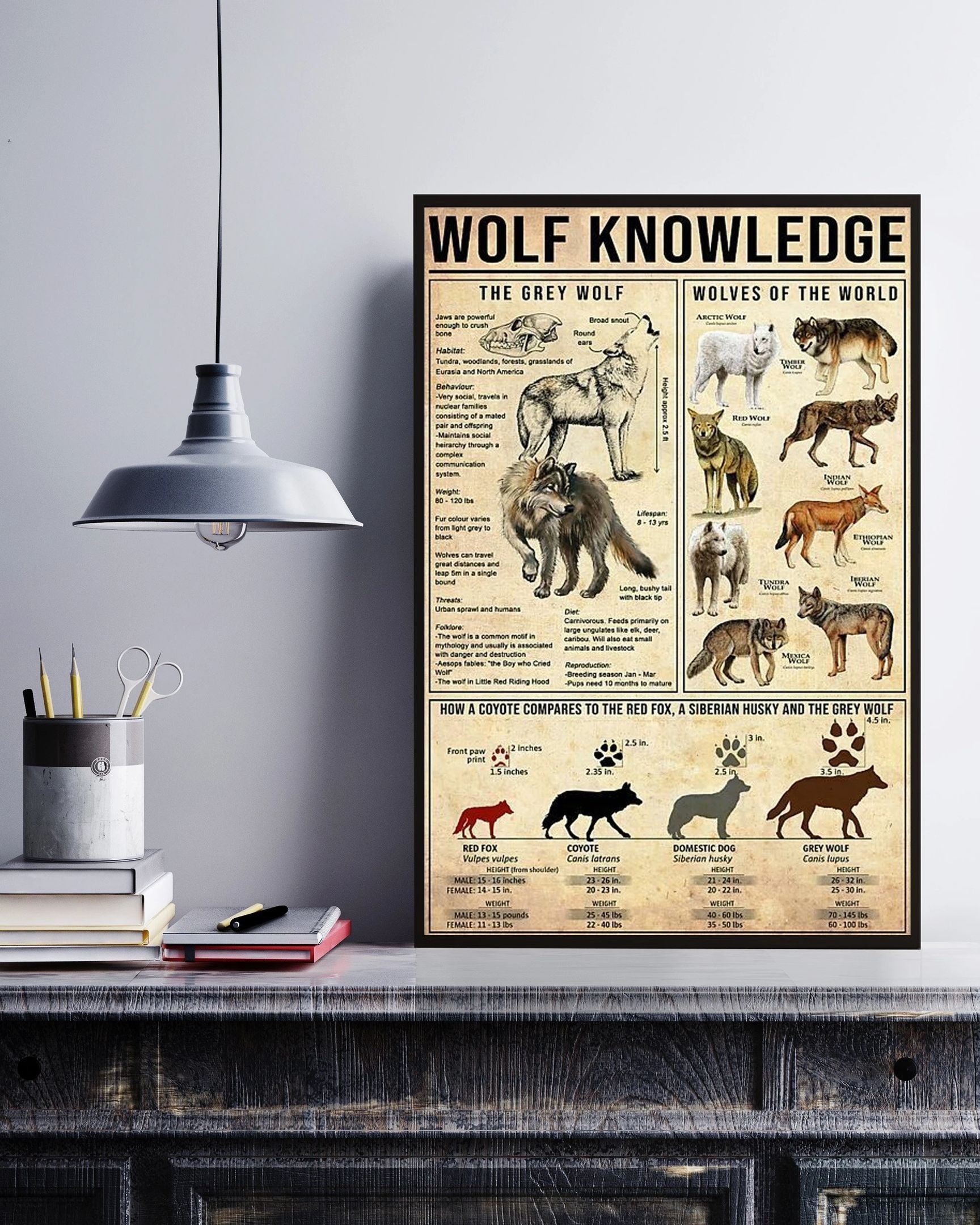 Wolf Knowledge Canvas Poster Wall Art