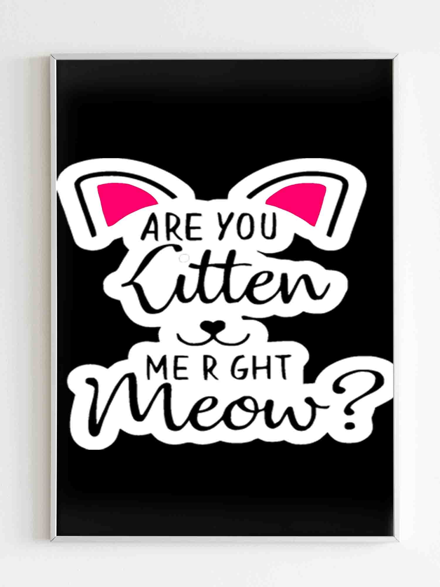 Are You Kitten Me Right Meow Kills Poster