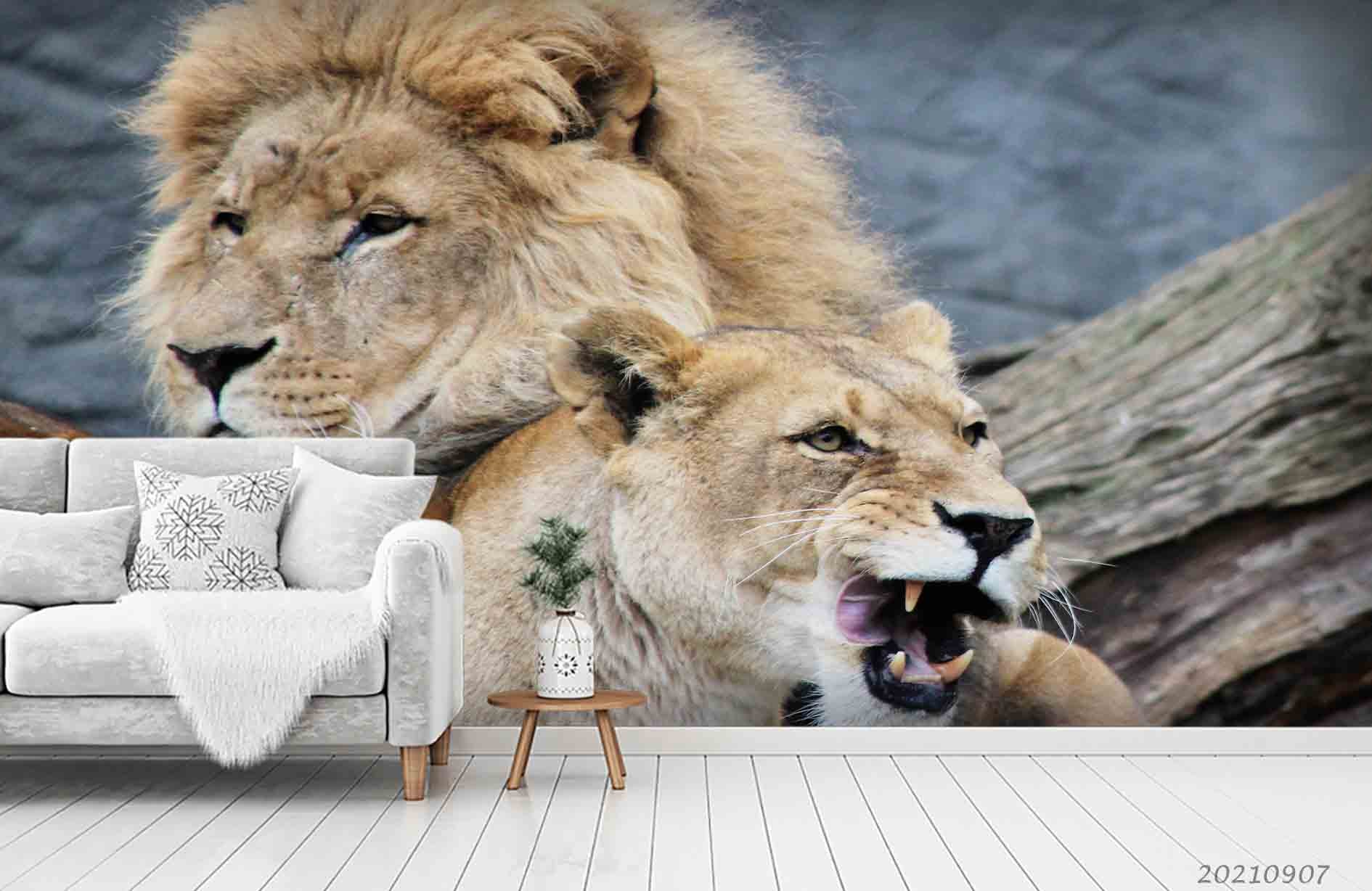 3D Wild Animal Lion Wall Mural Wallpaper Lqh 99