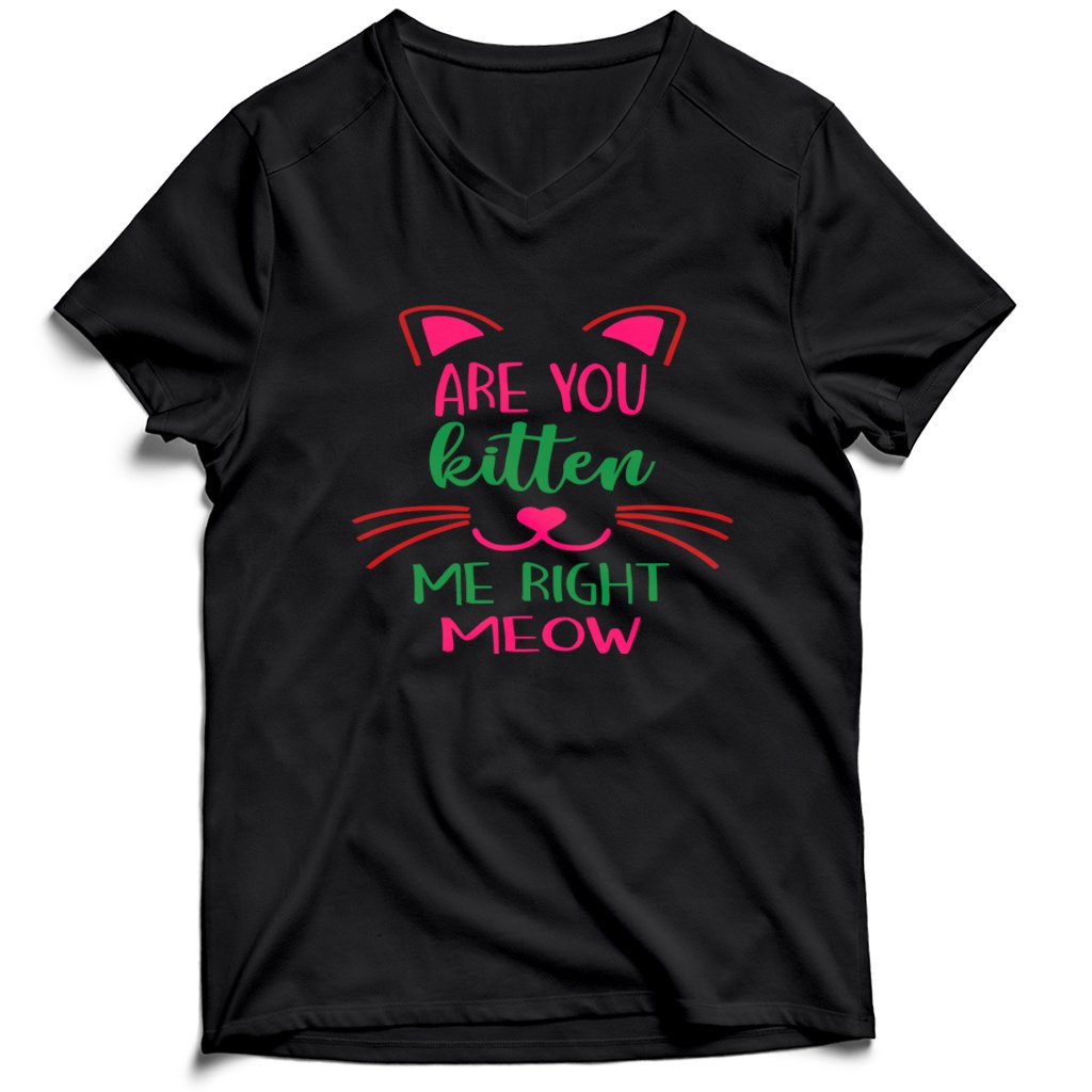 Are You Kitten Me Right Meow Aloen Men’s V-Neck Tee T-Shirt