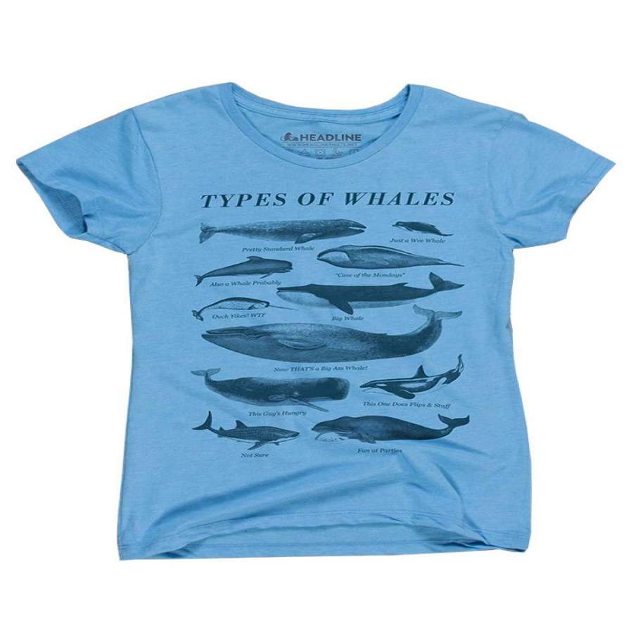 Types Of Whales Women’s T-Shirt