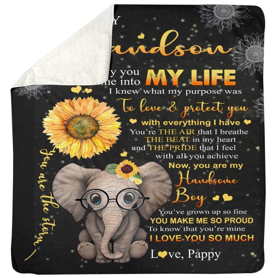 Elephant Pappy Loves And  Protects Grandson As A Purpose Sherpa Blanket