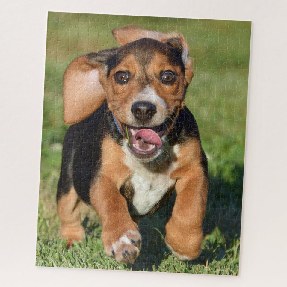 Crazy Beagle Puppy Running Jigsaw Puzzles | Dog Lovers 3D Print Art Puzzles | Beagle Dogs Shaped Jigsaw Puzzles