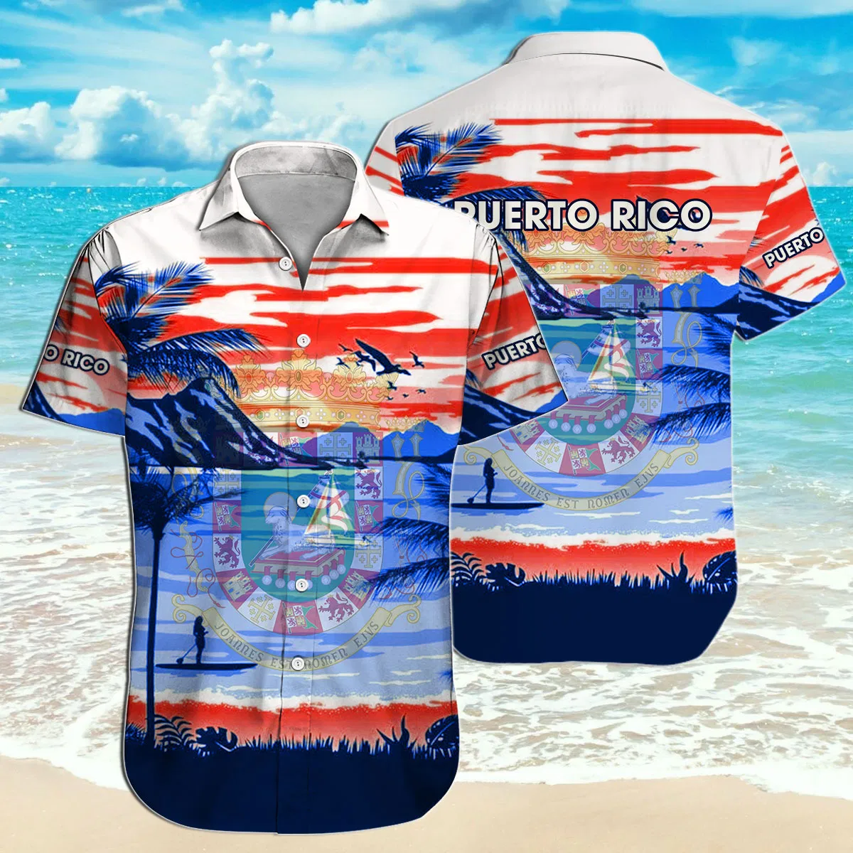 Puerto Rico Hawaii Shirt Unisex Adult Ha86213