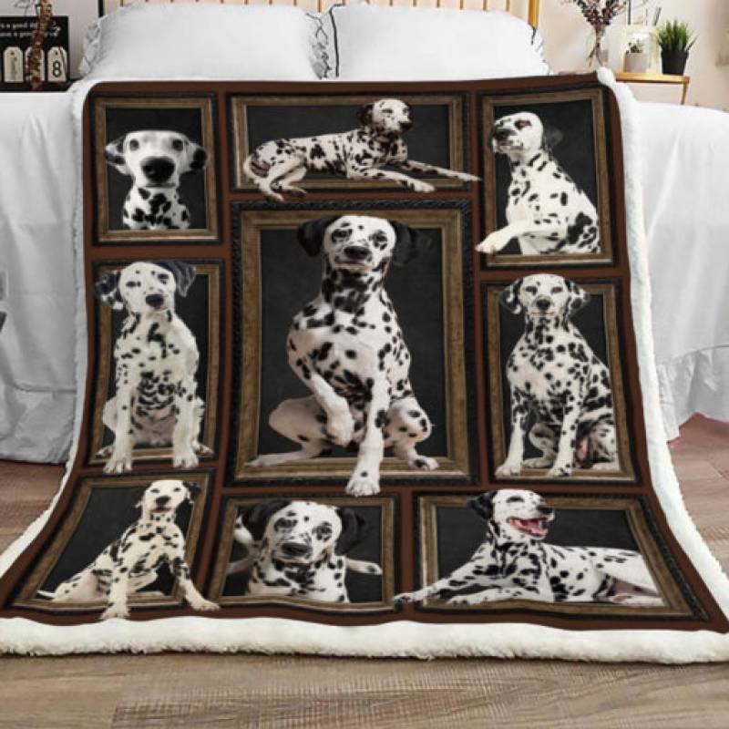 Dalmatian Dog Sherpa Blanket JR0802 69O43