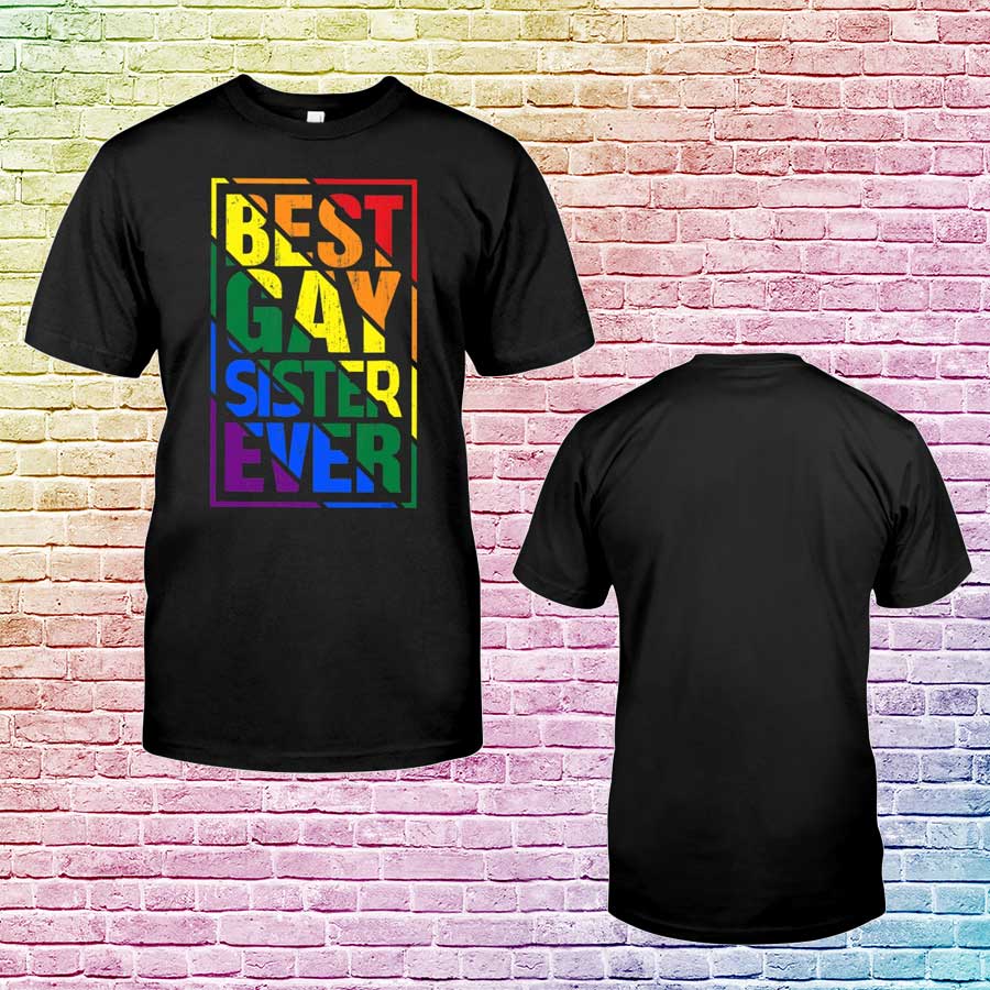 Best Gay Sister Ever Shirt, Gift For Gay Man, Gaymer T Shirt, Shirt For Prides