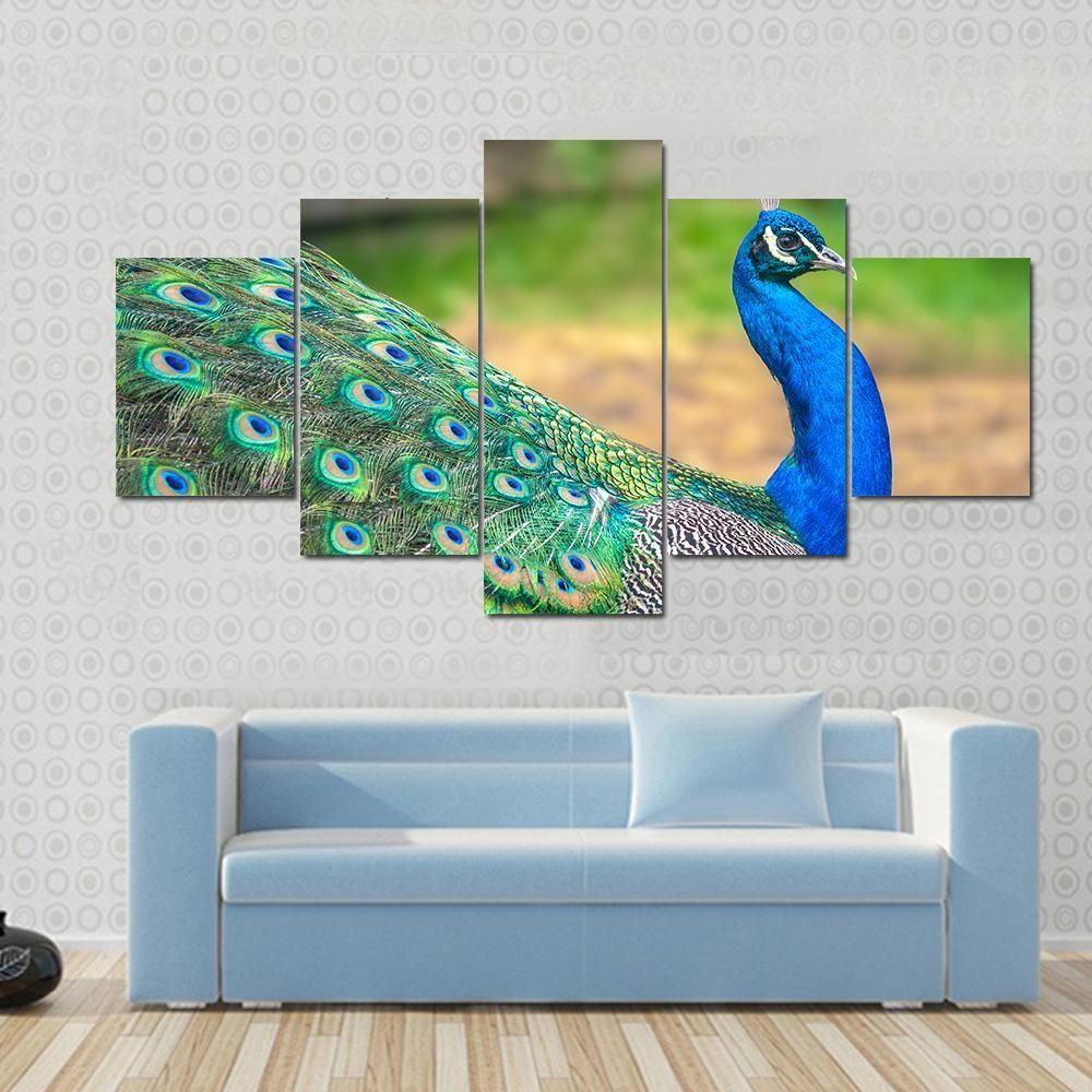 Walking Peacock 2 Animal 5 Panel Canvas Art Wall Decor