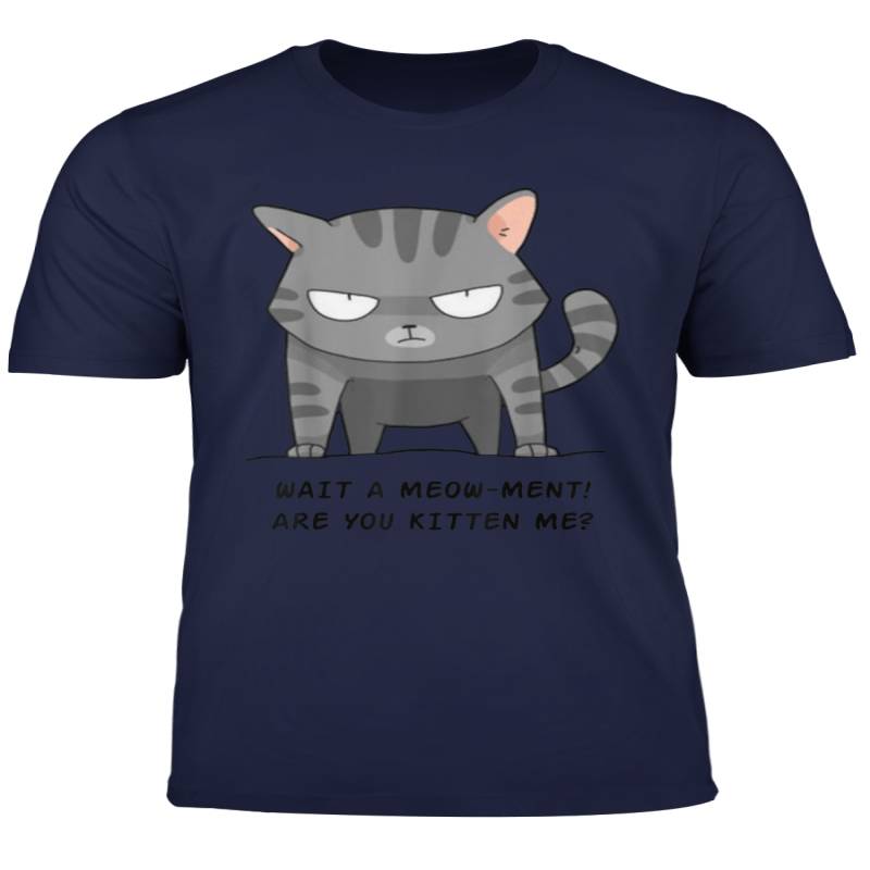 Wait A Meow Ment Are You Kitten Me Kitty Funny Cat Lovers T Shirt