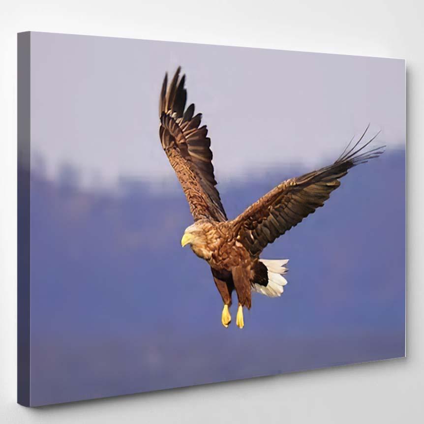 Whitetailed Eagle Flying Sky – Eagle Animals Canvas Print