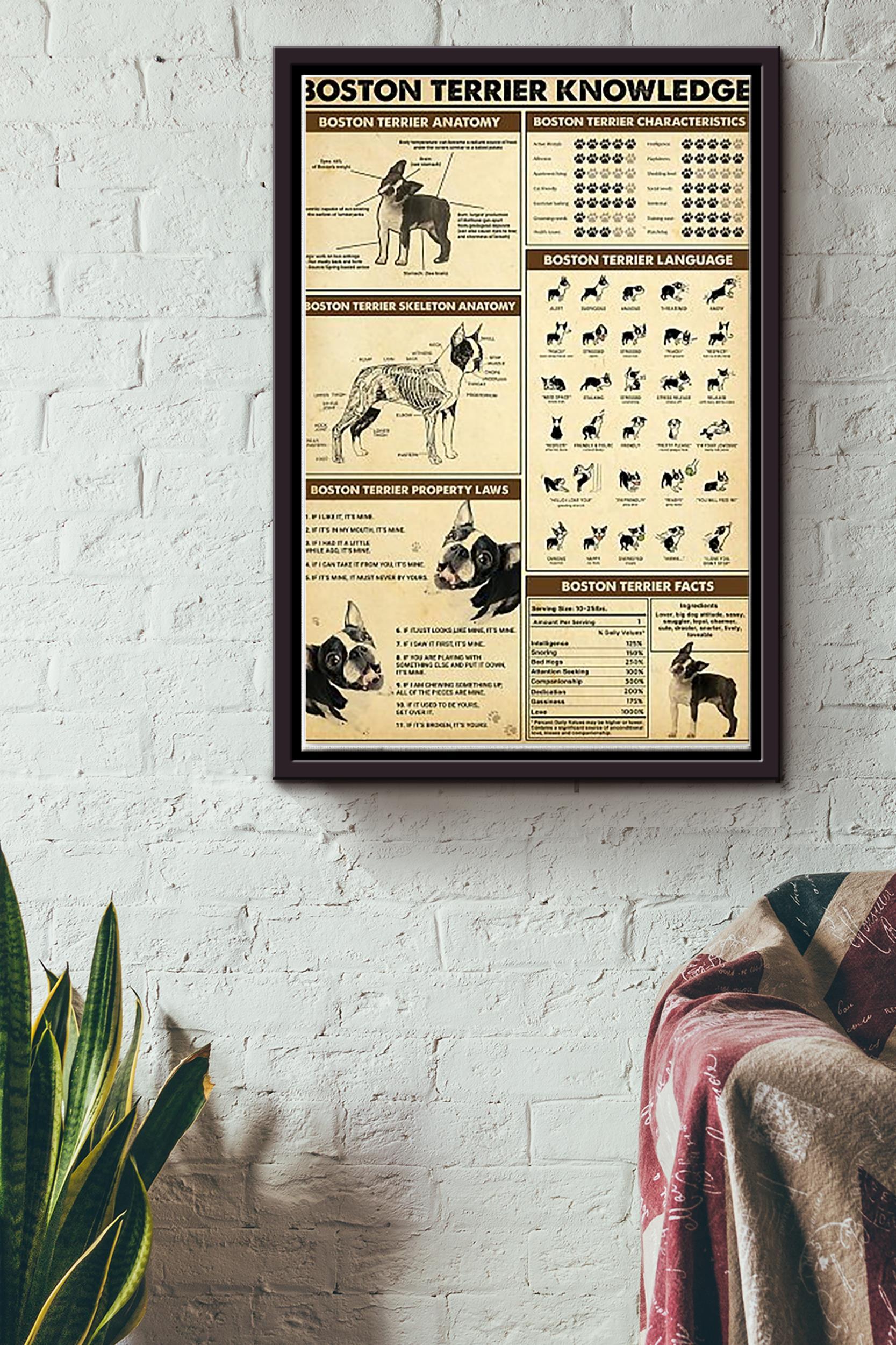 Boston Terrier Knowledge Dogs Breeds Vintage Framed Matte Canvas