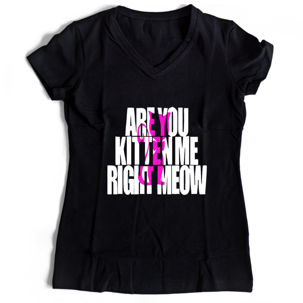 Are You Kitten Me Right Meow One Women’s V-Neck Tee T-Shirt