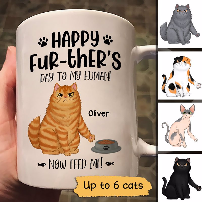 Happy Further‘S Day Angry Cats Personalized Mug