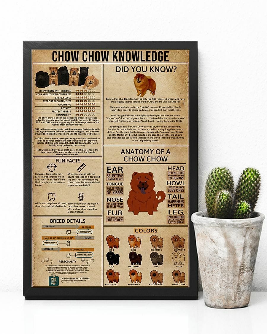 Chow Chow Knowledge Poster  Canvas