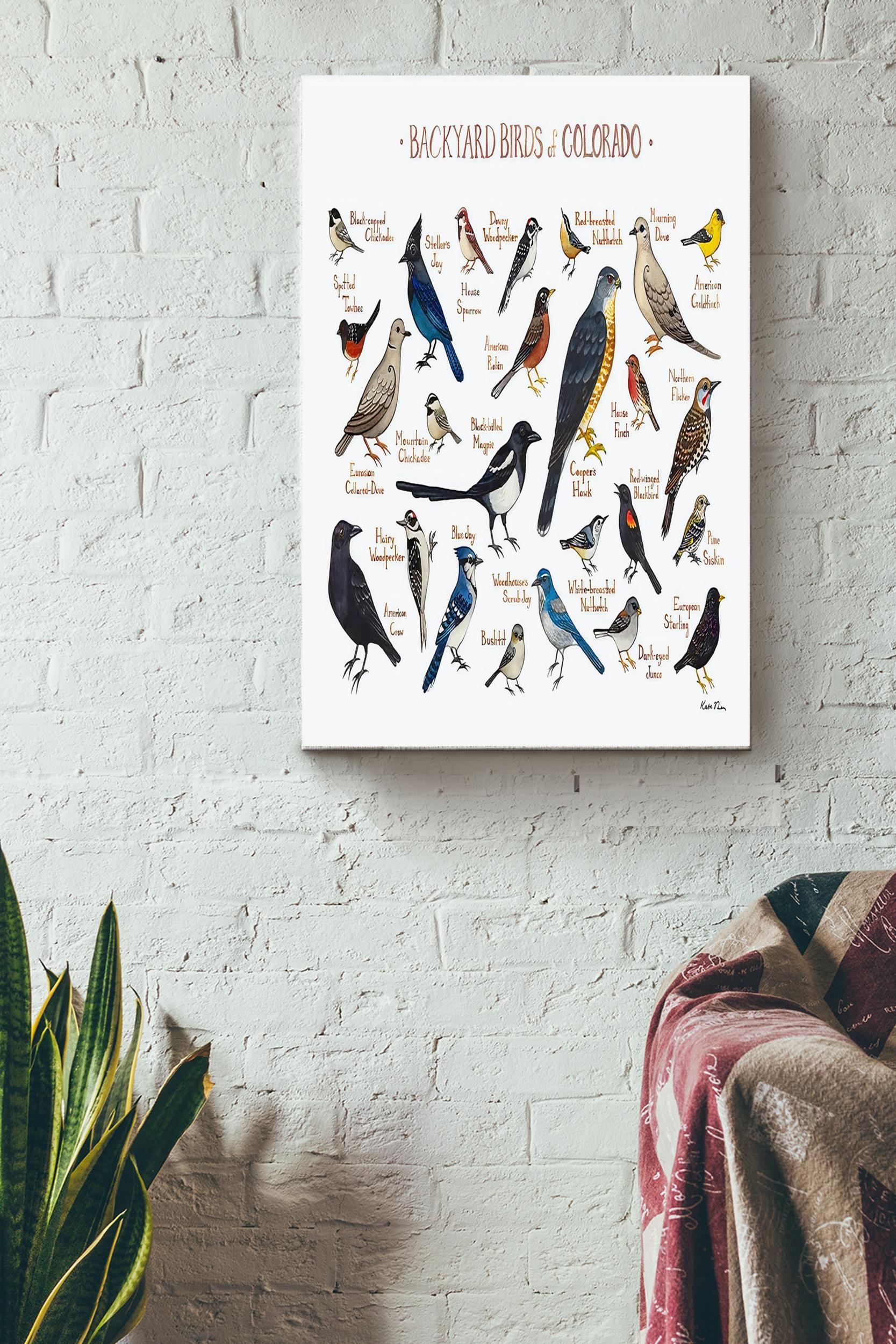 Backyard Birds Colorado Poster – Animals Wall Art – Gift For Bird Lovers Gizzard Fan Bird Foster Home Decor Wrapped Canvas