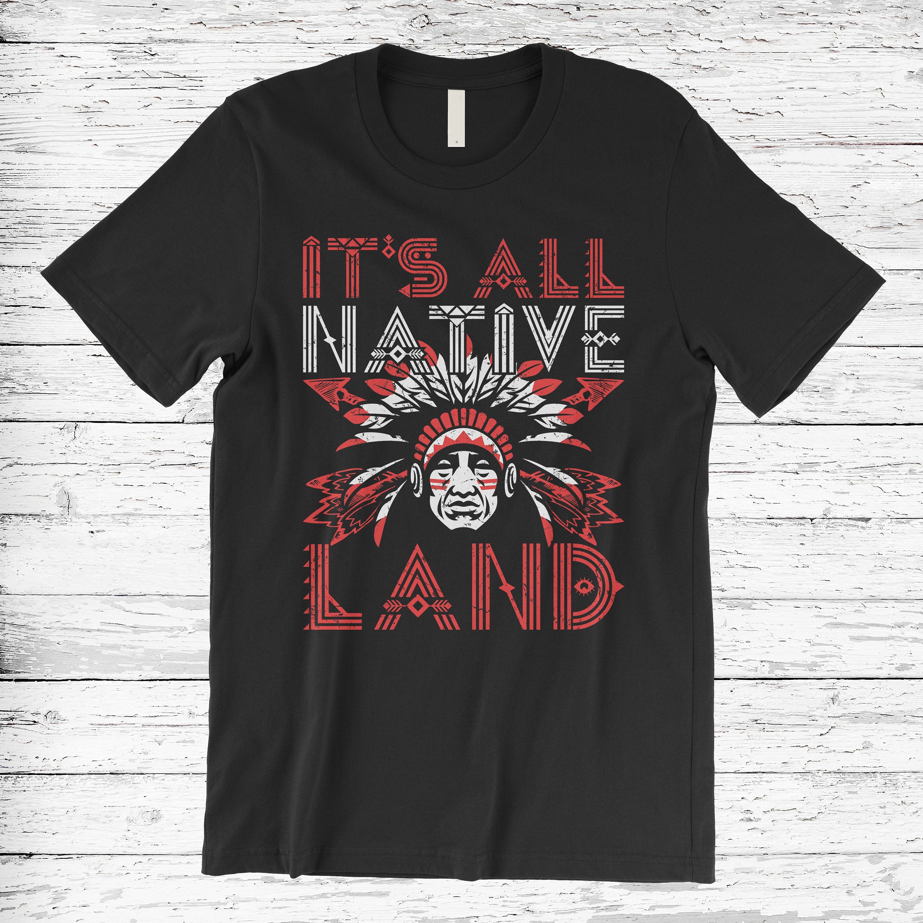 It’S All Native Land Standard/Premium T-Shirt Hoodie