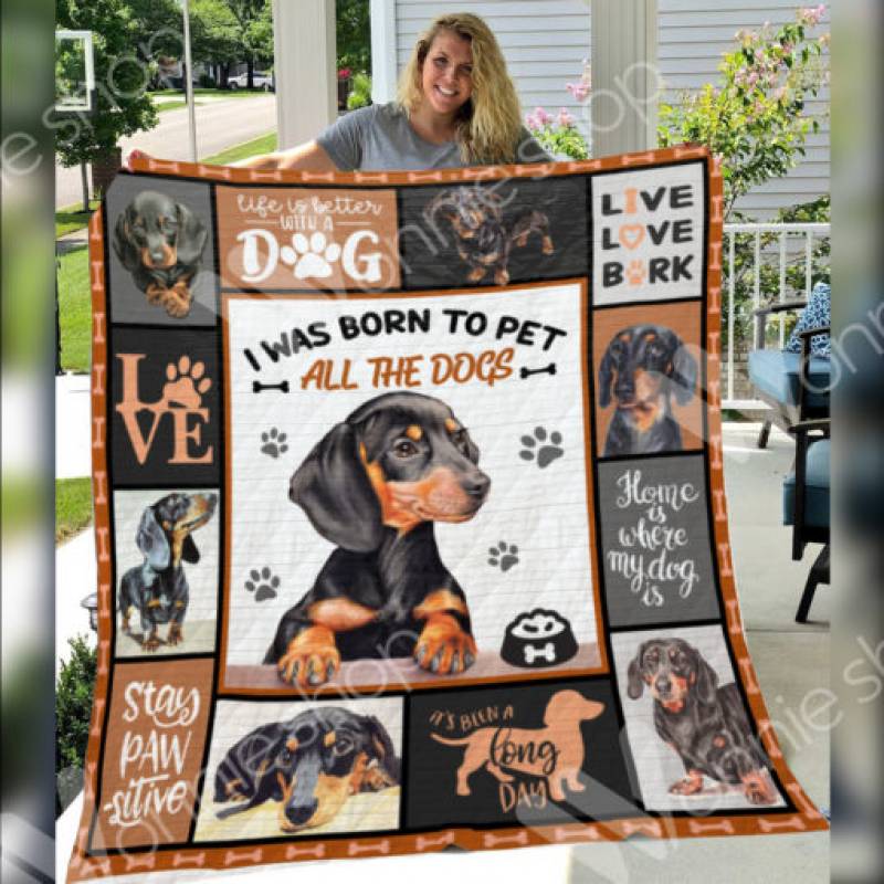 Dachshund Dog Blanket DCB2501 77O58