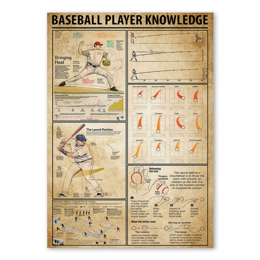 Baseball Player Knowledge Special Custom Design Poster  Gift  For Sport Lovers