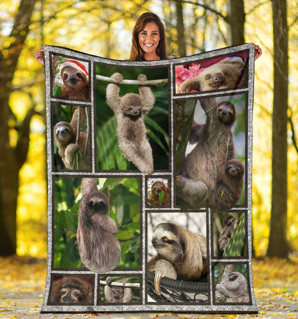 3D Sloth Sloths Funny Cute Animal Lover Gift Fleece Blanket