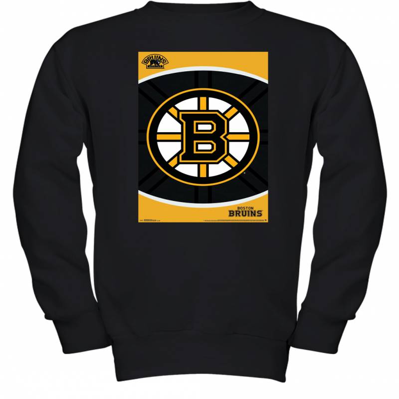 International Boston Bruins Logo Premium Wall Youth Sweatshirt