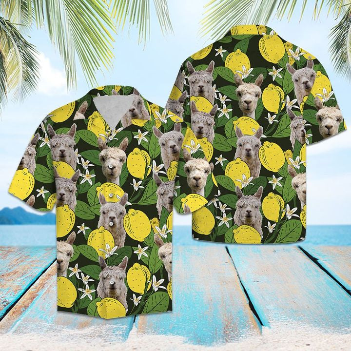 Alpacas Lemons Hawaiian Shirt Summer Button Up For Men, Women, Couple