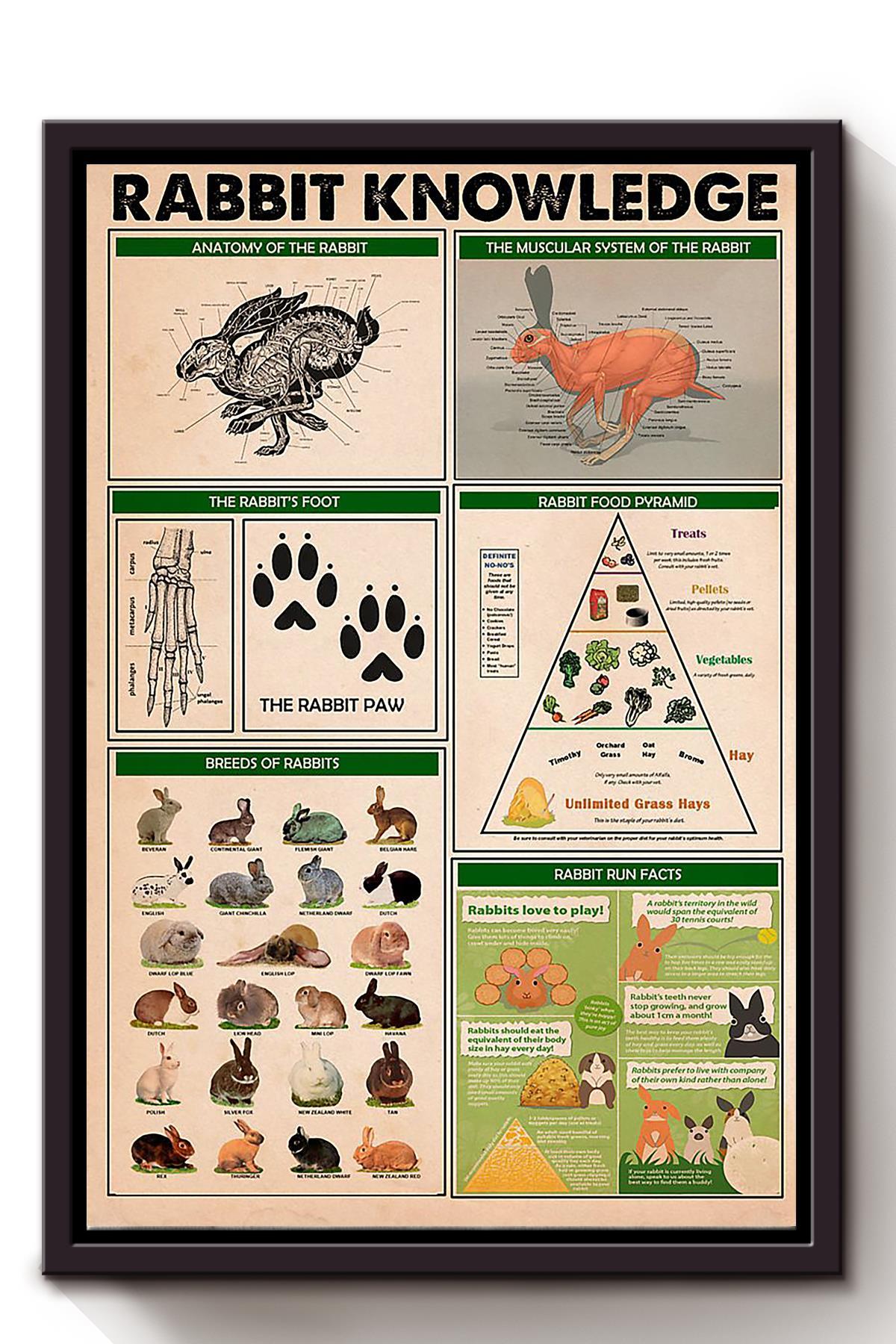 Rabbit Basic Information Animal Knowledge Wall Art For Homeschool Nusery Kids Bedroom Decor Framed Canvas