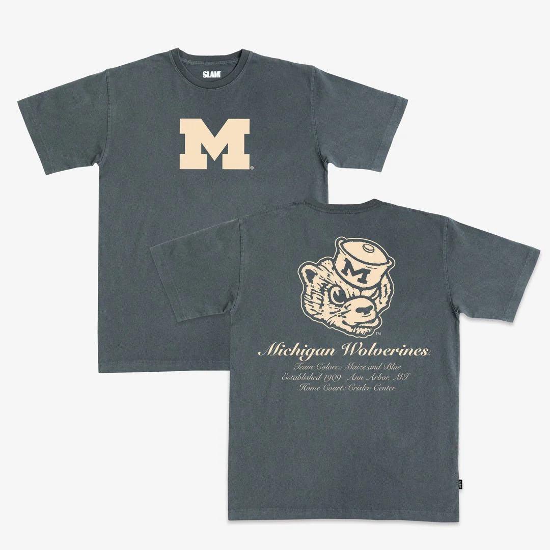 Michigan Wolverines Retro Mascot Tee, Classic M Logo Vintage Graphic Shirt in Maize and Blue, Ann Arbor MI Summer Game Day Outfit for Wolverines Fans, Men Graphic Tees
