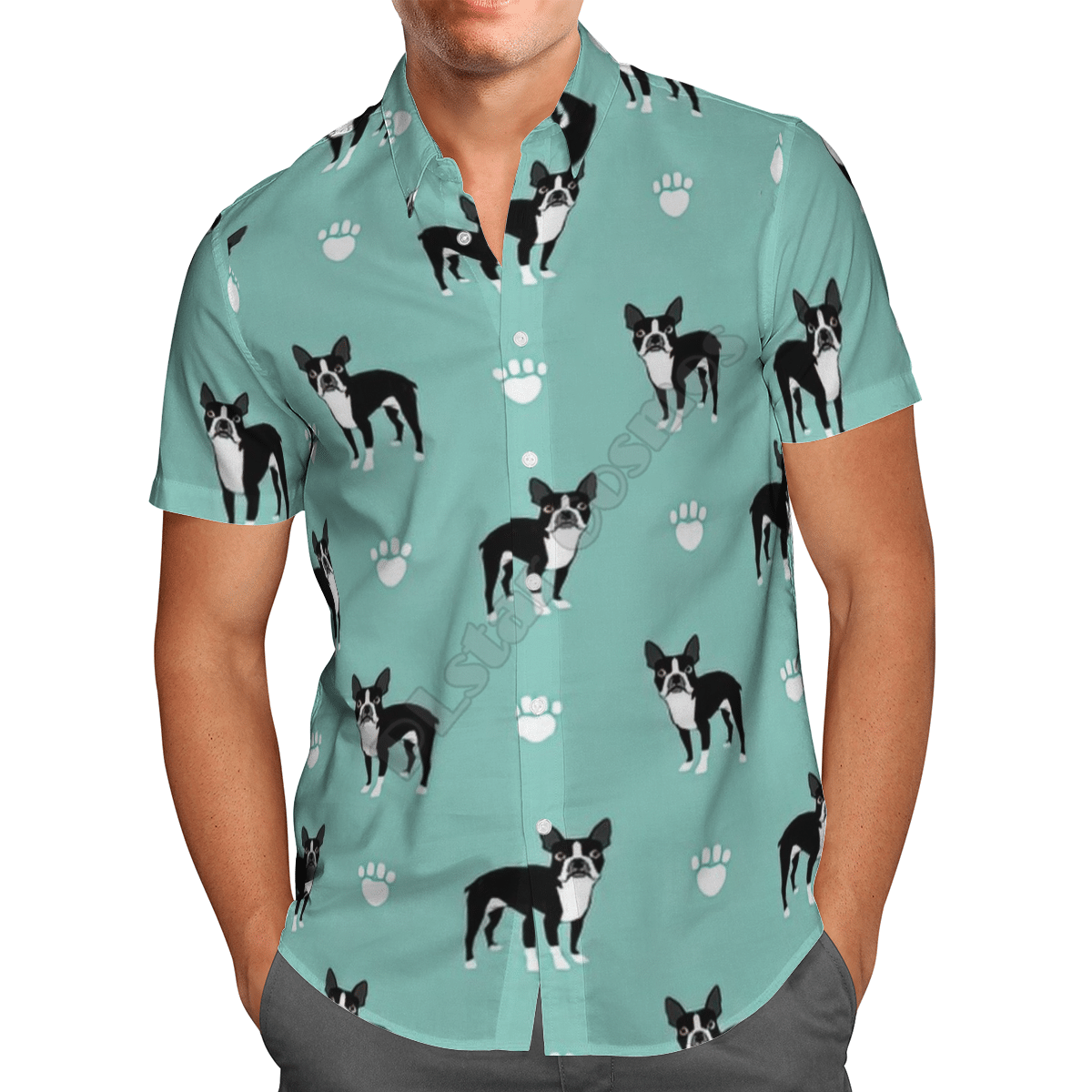 Summer Funny Corgi Blue Awesome Design Unisex Hawaii Shirt For Men And Women Ha72504