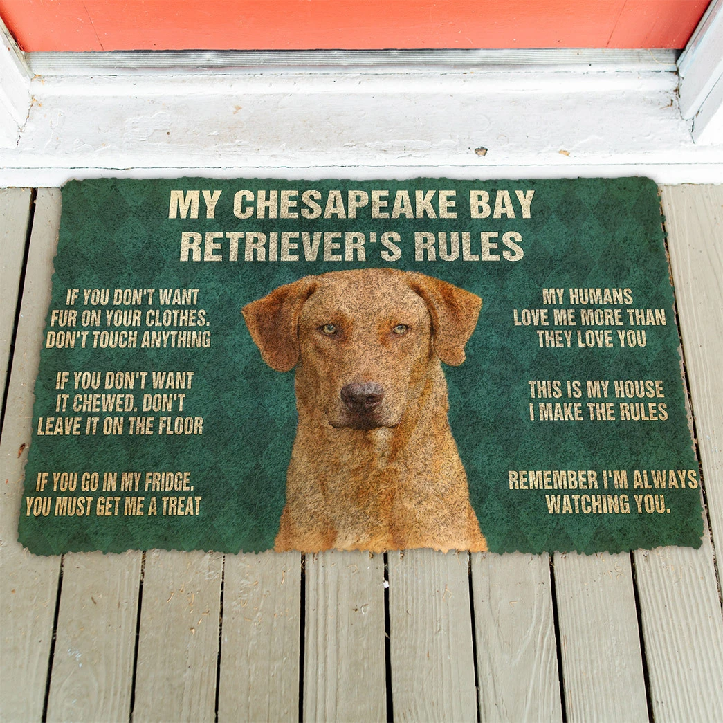 3D Chesapeake Bay Retriever’S Rules Doormat