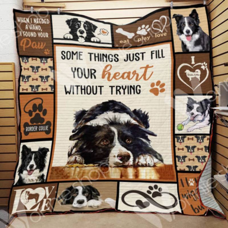 Border Collie Dog Blanket NOV2702 90O47